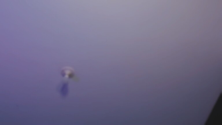 AniSaggio's Streamate show and profile